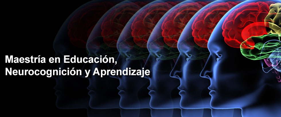 neuro